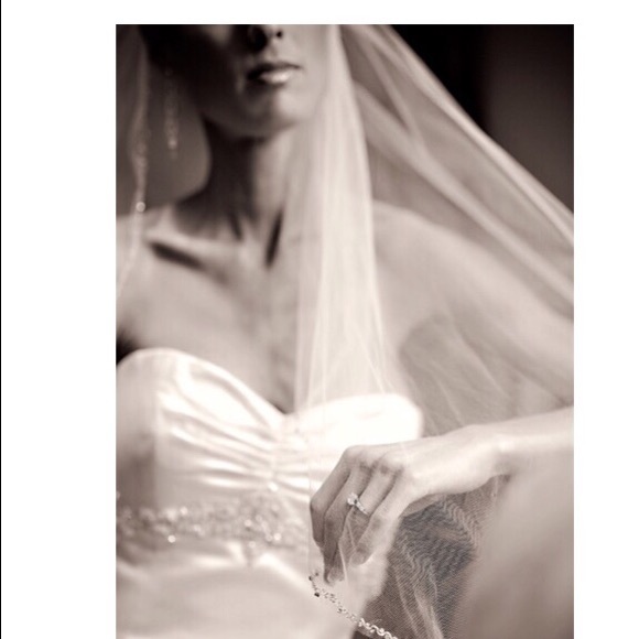 Beautiful Designer Anne Barge Wedding Gown - Picture 4 of 8